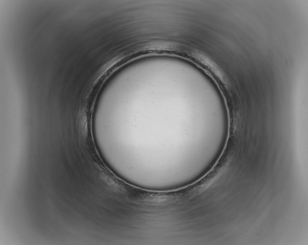 X0000112840829200909041521