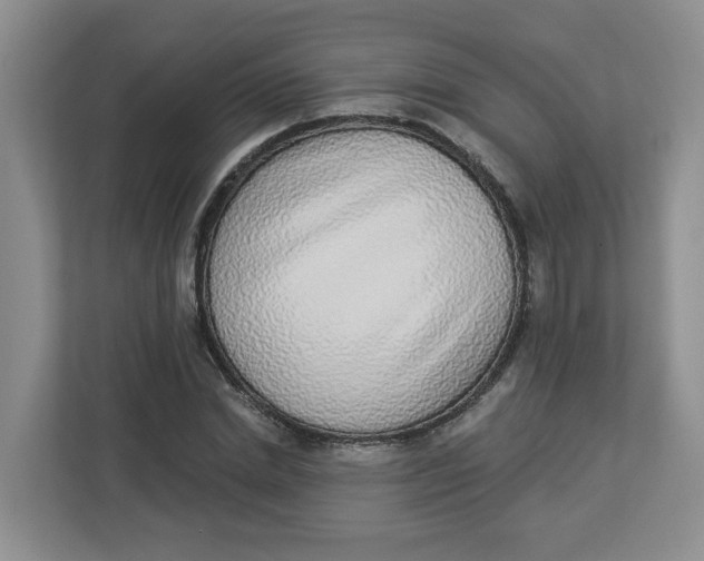 X0000112840830200909041521