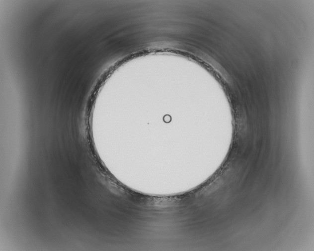 X0000112840832200909041521