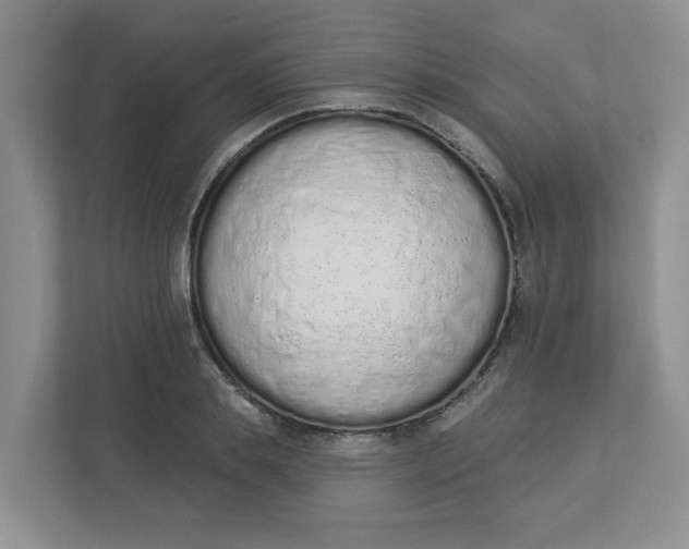 X0000112840839200909041521