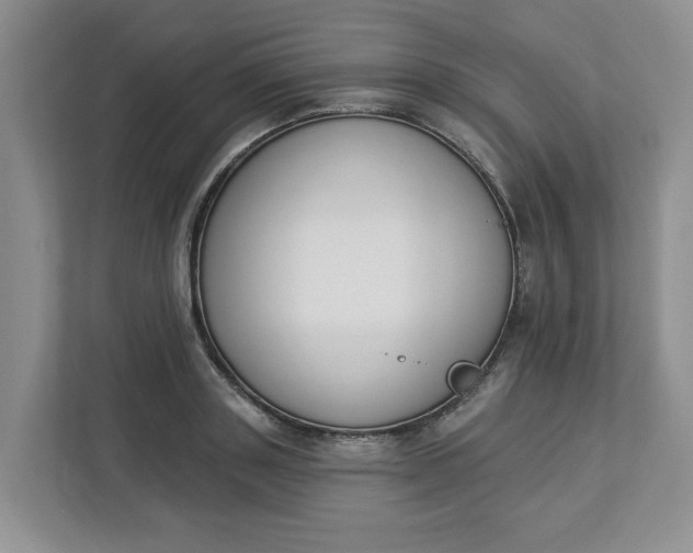 X0000112840843200909041521