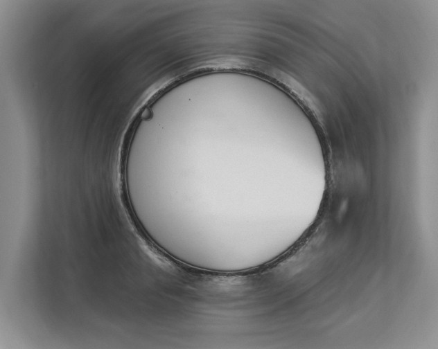 X0000112840845200909041521