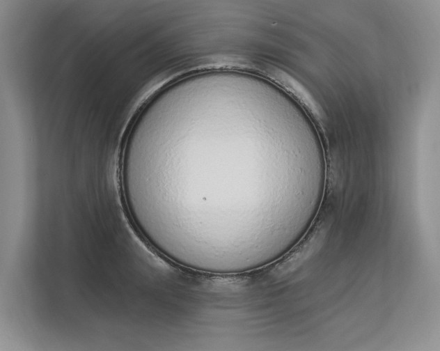 X0000112840847200909041521