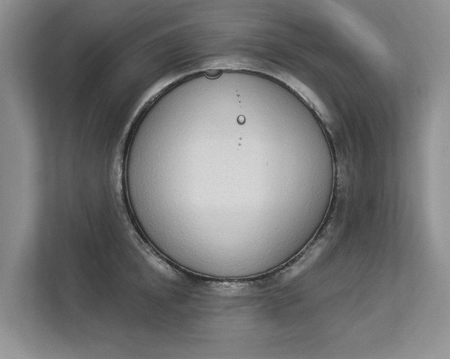 X0000112840854200909041521