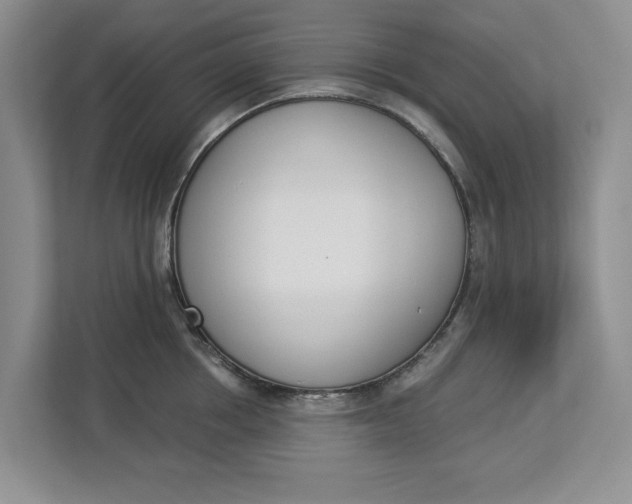 X0000112840858200909041521