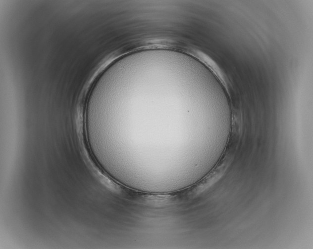 X0000112840859200909041521