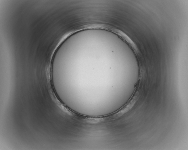 X0000112840860200909041521