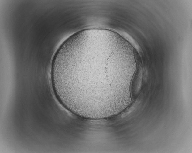 X0000112840863200909041521