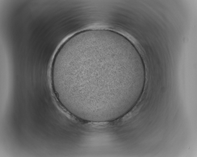 X0000112840864200909041521