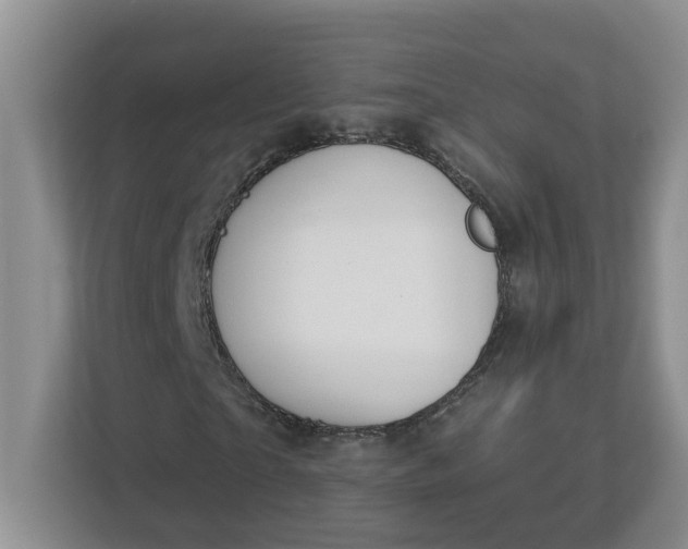 X0000112840865200909041521