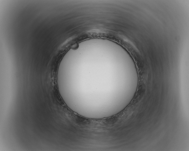 X0000112840870200909041521