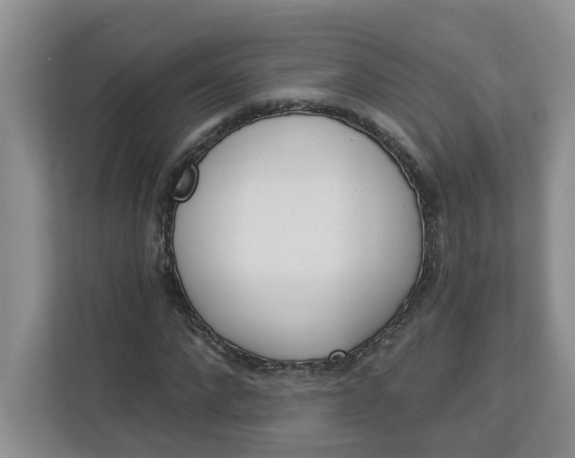 X0000112840872200909041520