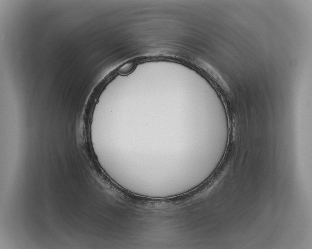 X0000112840876200909041520