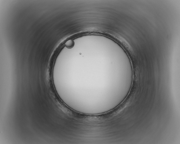 X0000112840880200909041520