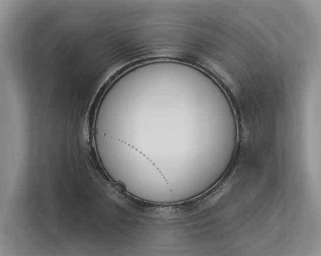 X0000112840883200909041520