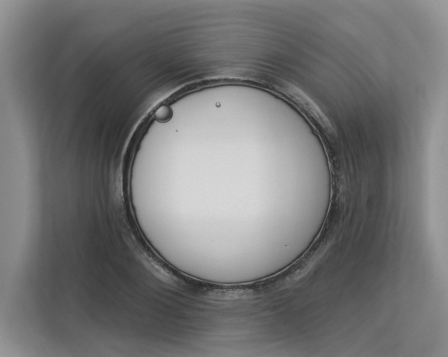 X0000112840884200909041520