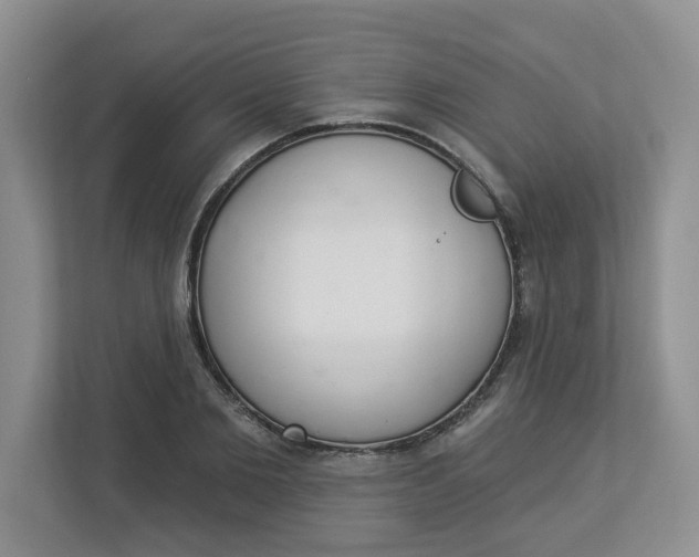 X0000112840885200909041520