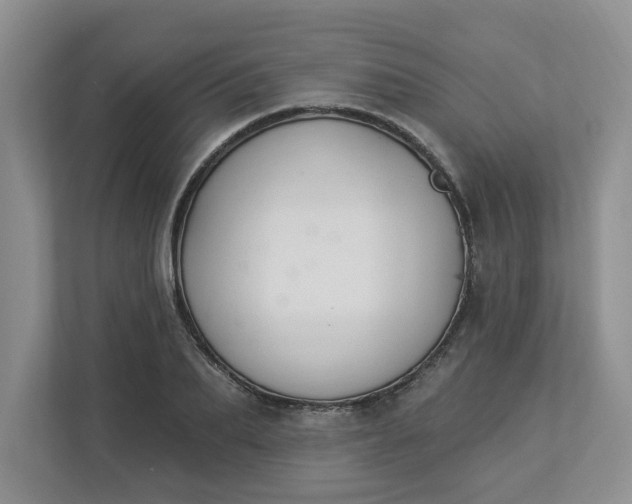 X0000112840887200909041520