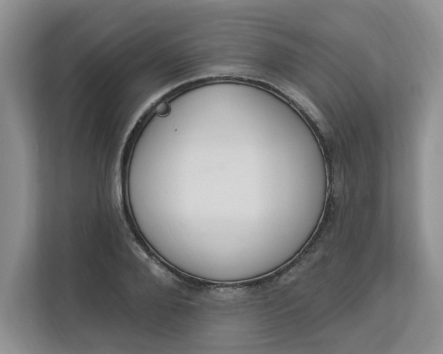 X0000112840888200909041520