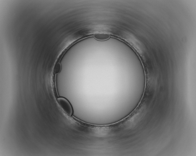 X0000112840893200909041520