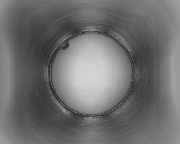 X0000112840898200909041520