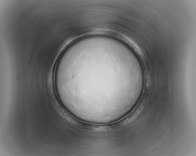 X0000112840899200909041520