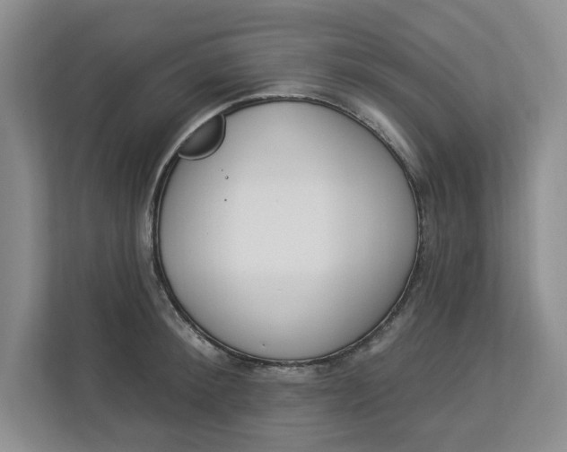 X0000112840900200909041520