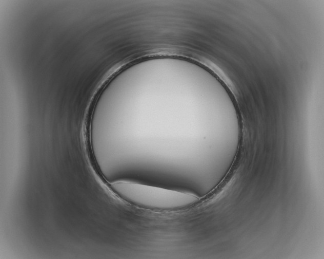 X0000112840901200909041520