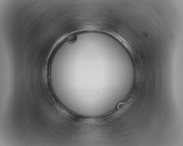 X0000112840904200909041520