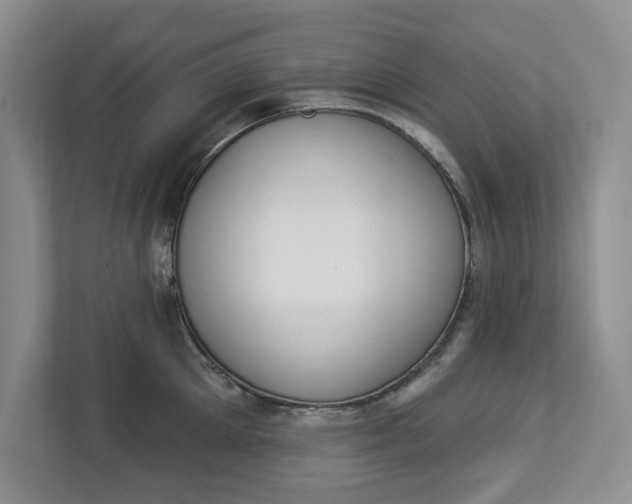 X0000112840905200909041520