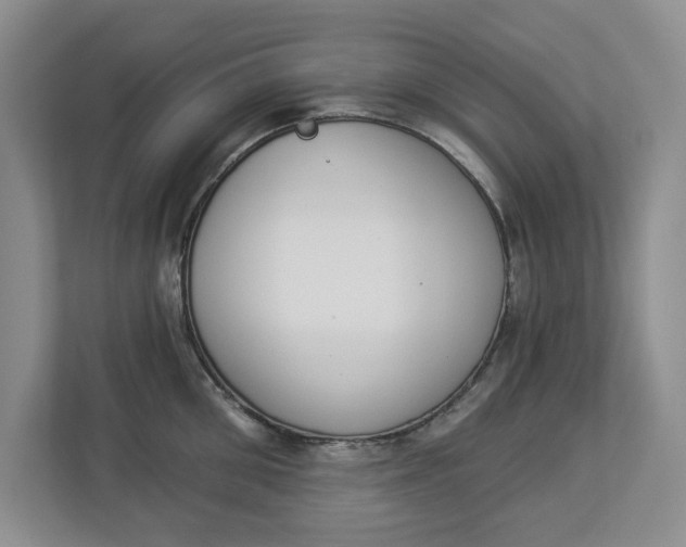 X0000112840906200909041520