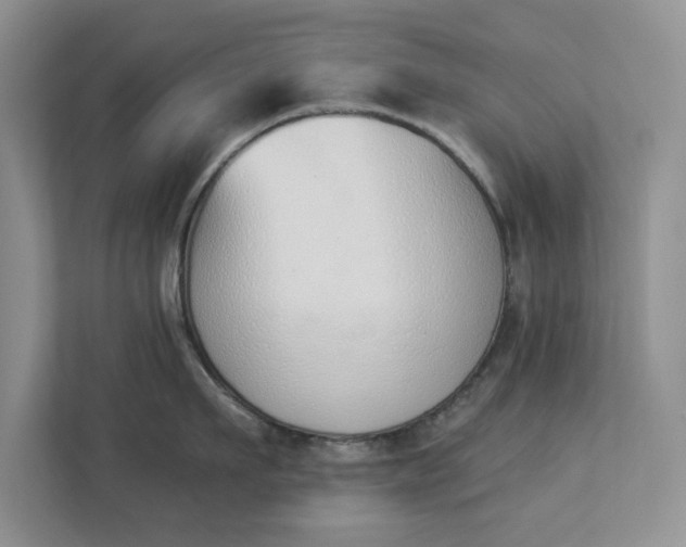 X0000112840911200909041520