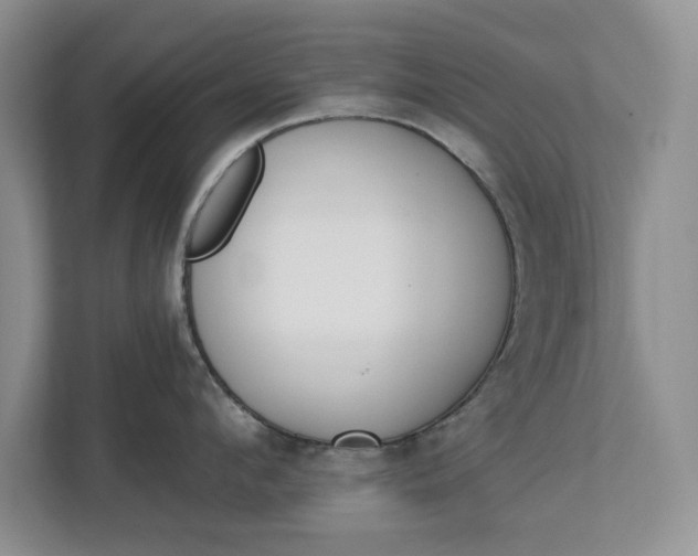 X0000112840912200909041520