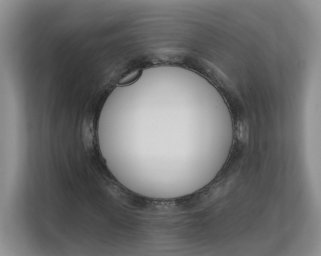 X0000112840915200909041519