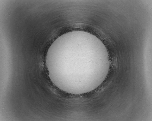 X0000112840916200909041519