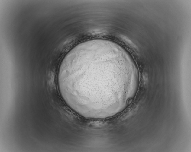 X0000112840917200909041519