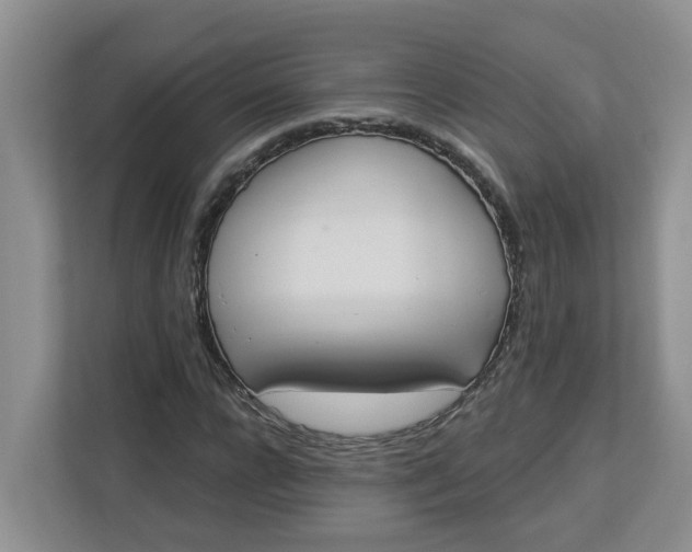 X0000112840920200909041519