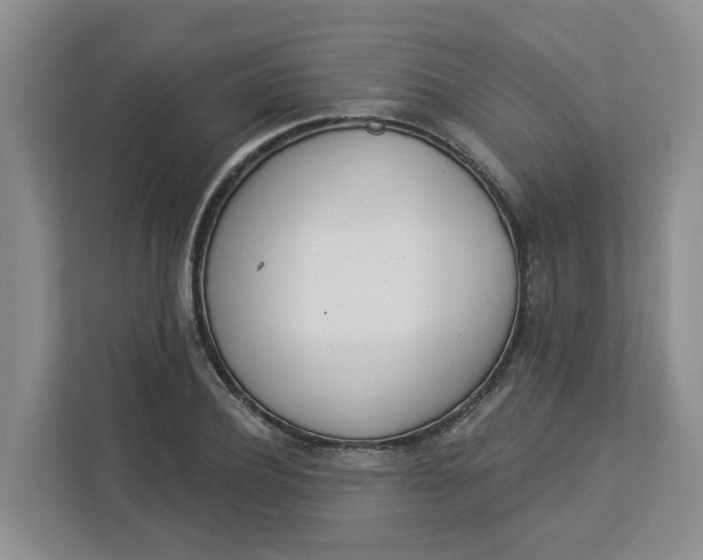 X0000112840932200909041520