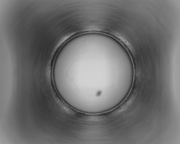 X0000112840933200909041520