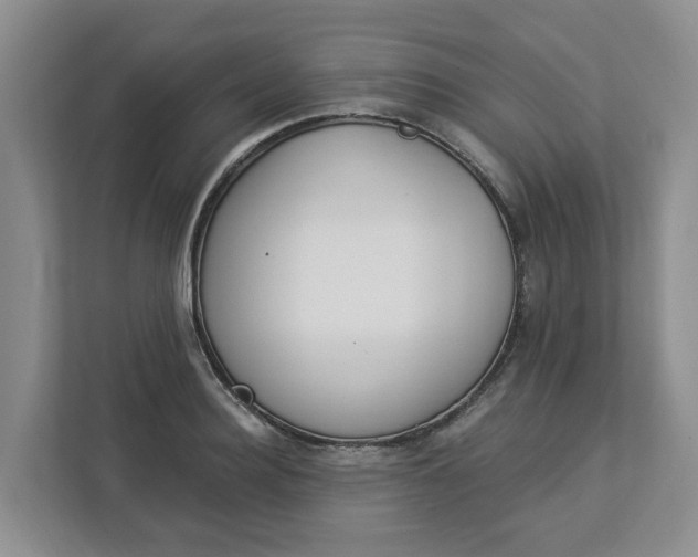 X0000112840940200909041520