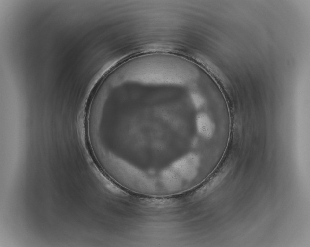 X0000112840941200909041520