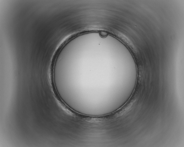 X0000112840942200909041520