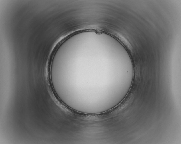 X0000112840944200909041520