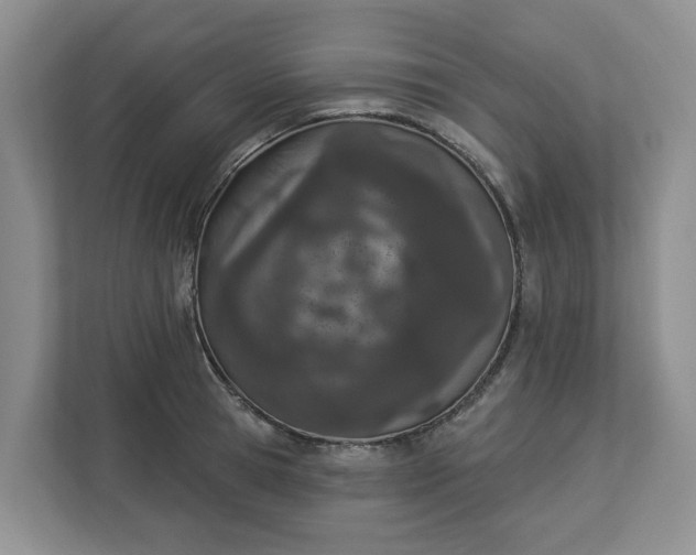 X0000112840945200909041520