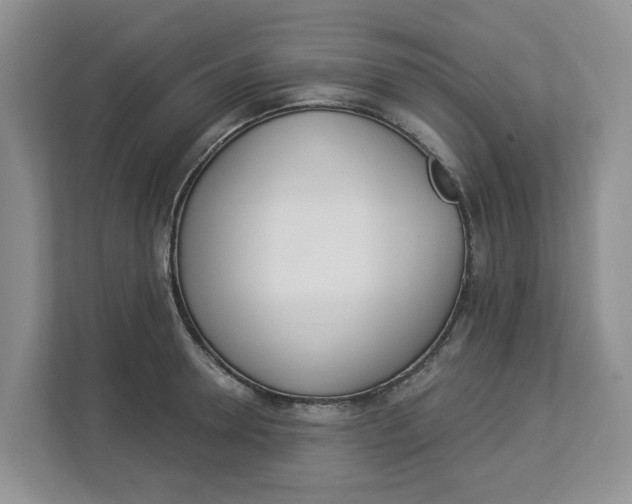 X0000112840946200909041520