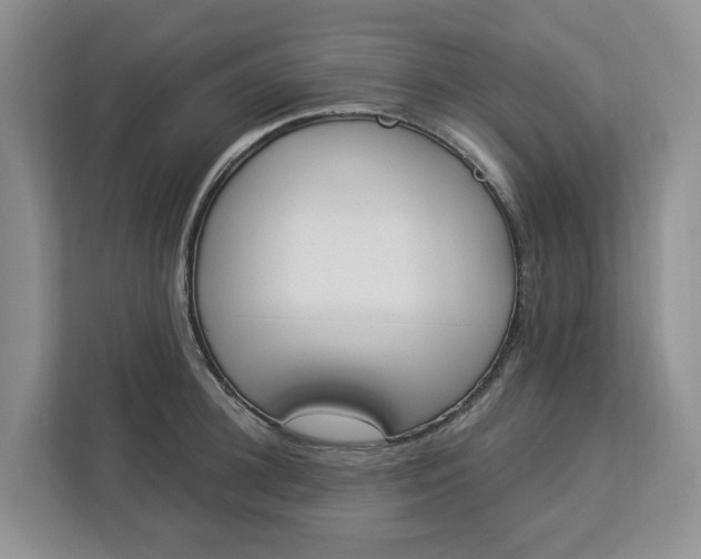 X0000112840948200909041520