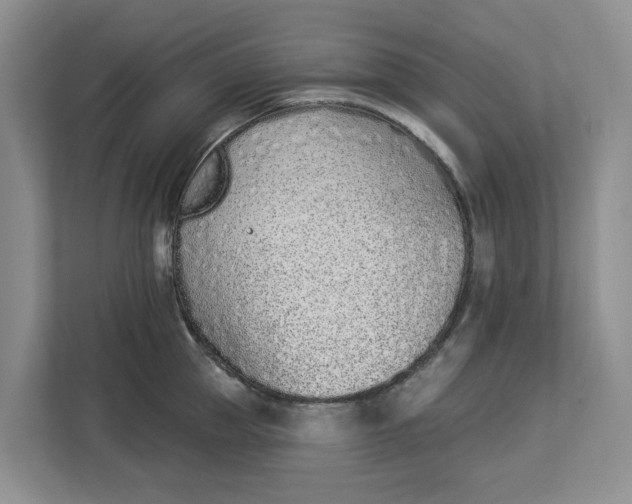 X0000112840953200909041520