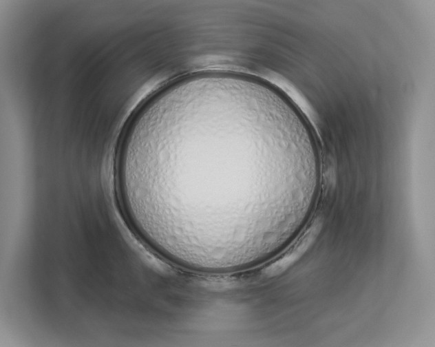 X0000112840957200909041520