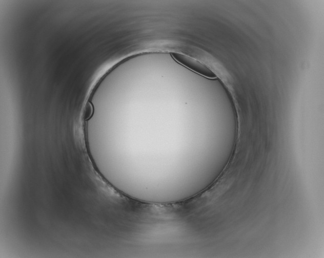 X0000112840960200909041520