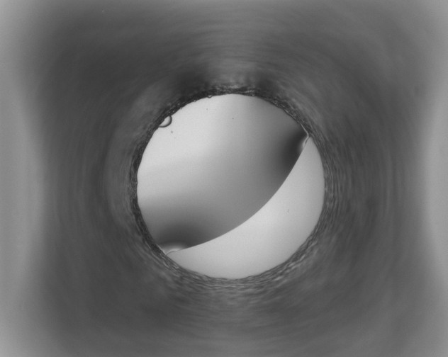 X0000112840961200909041519